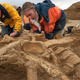 Illustration for article titled A rare, near-complete mammoth skeleton has been unearthed near Paris